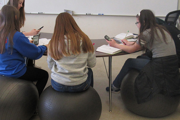 Lacomb School education grant | yoga balls, calculators and more